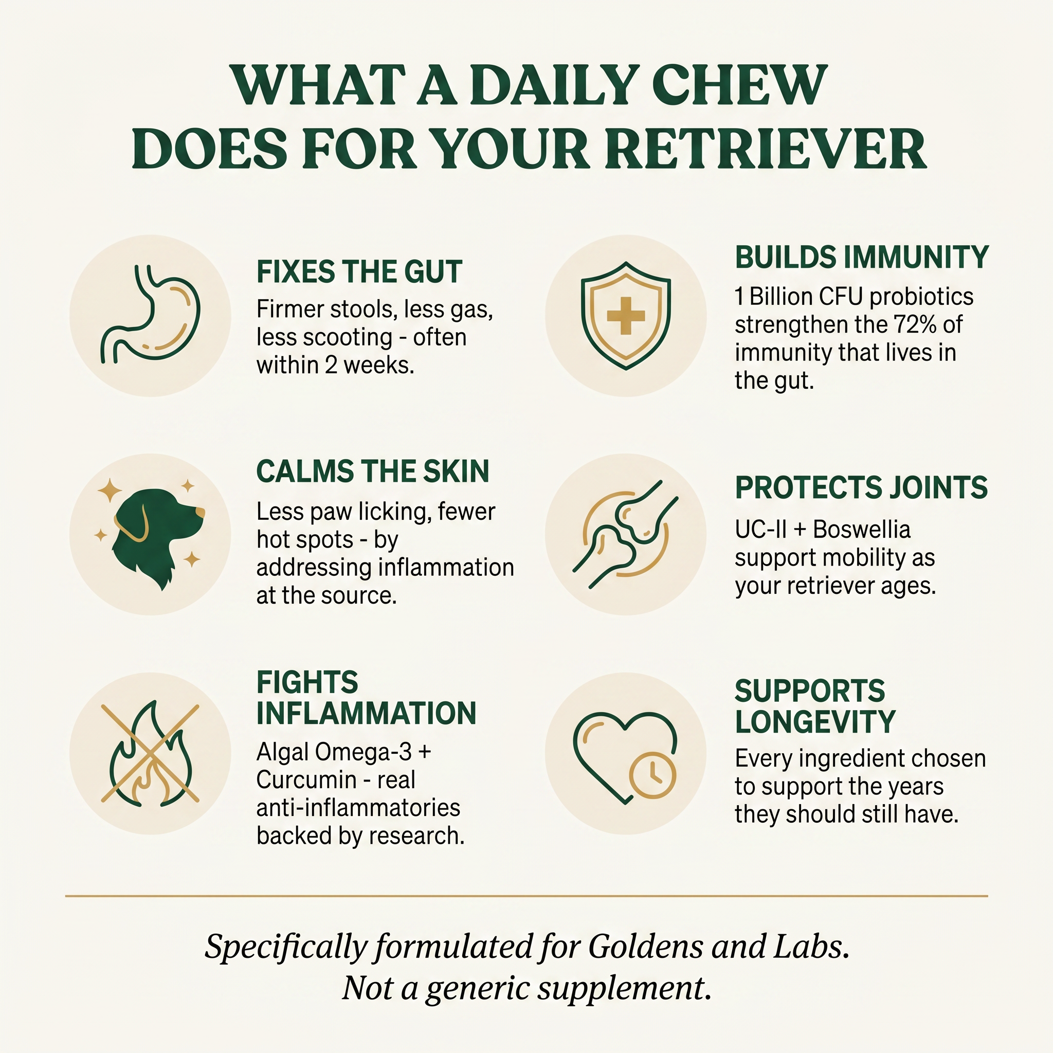 Golden and Labrador Retriever Longevity Chews