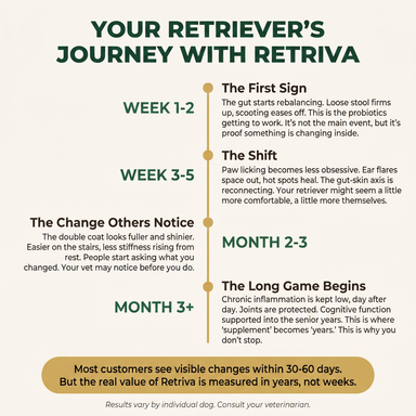 Golden and Labrador Retriever Longevity Chews