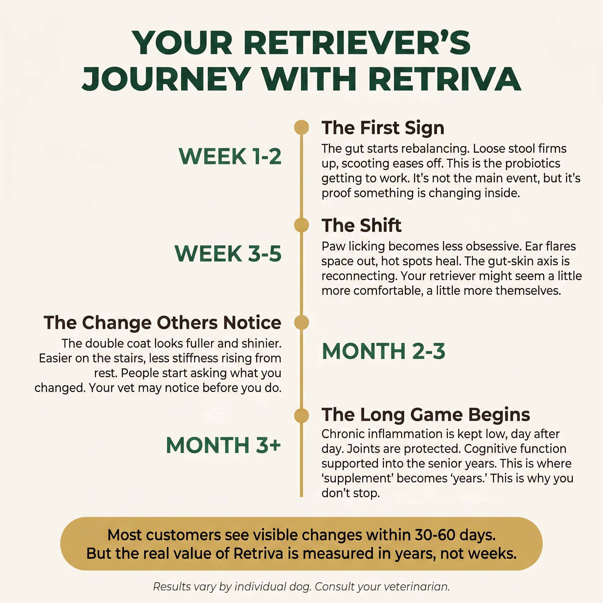 Golden and Labrador Retriever Longevity Chews