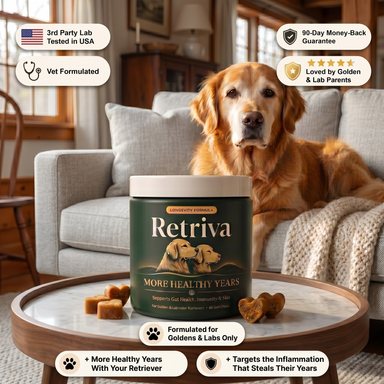 Golden and Labrador Retriever Longevity Chews